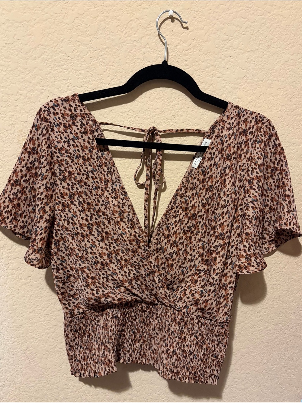 Paper Crane Brown Floral V-Neck Tie-Back Crop Top